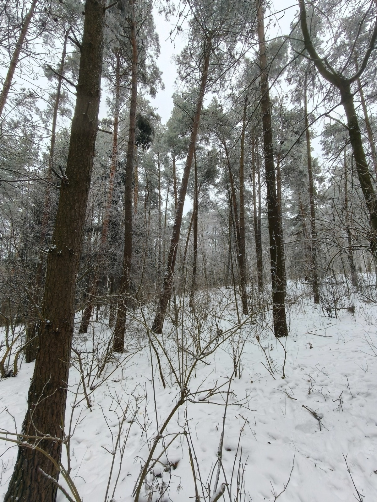 7db940bf-7877-4929-a52e-595161933b74