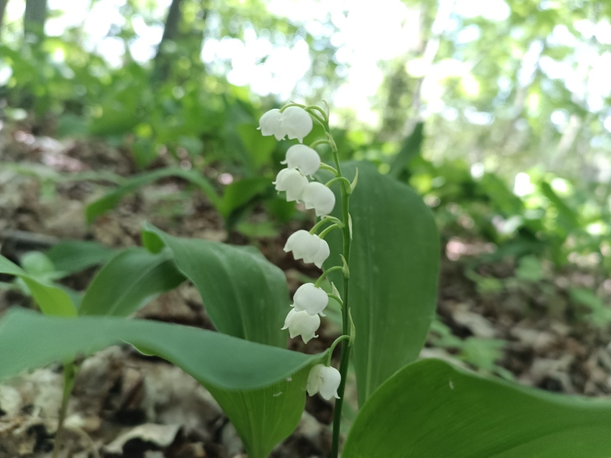 7ec65e6f-ba0f-4908-abe7-48d3eaab310e