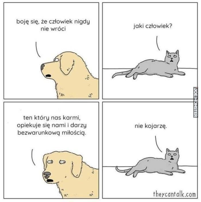 0741e0cd-c2a6-43f7-bd07-e53f26d759c0