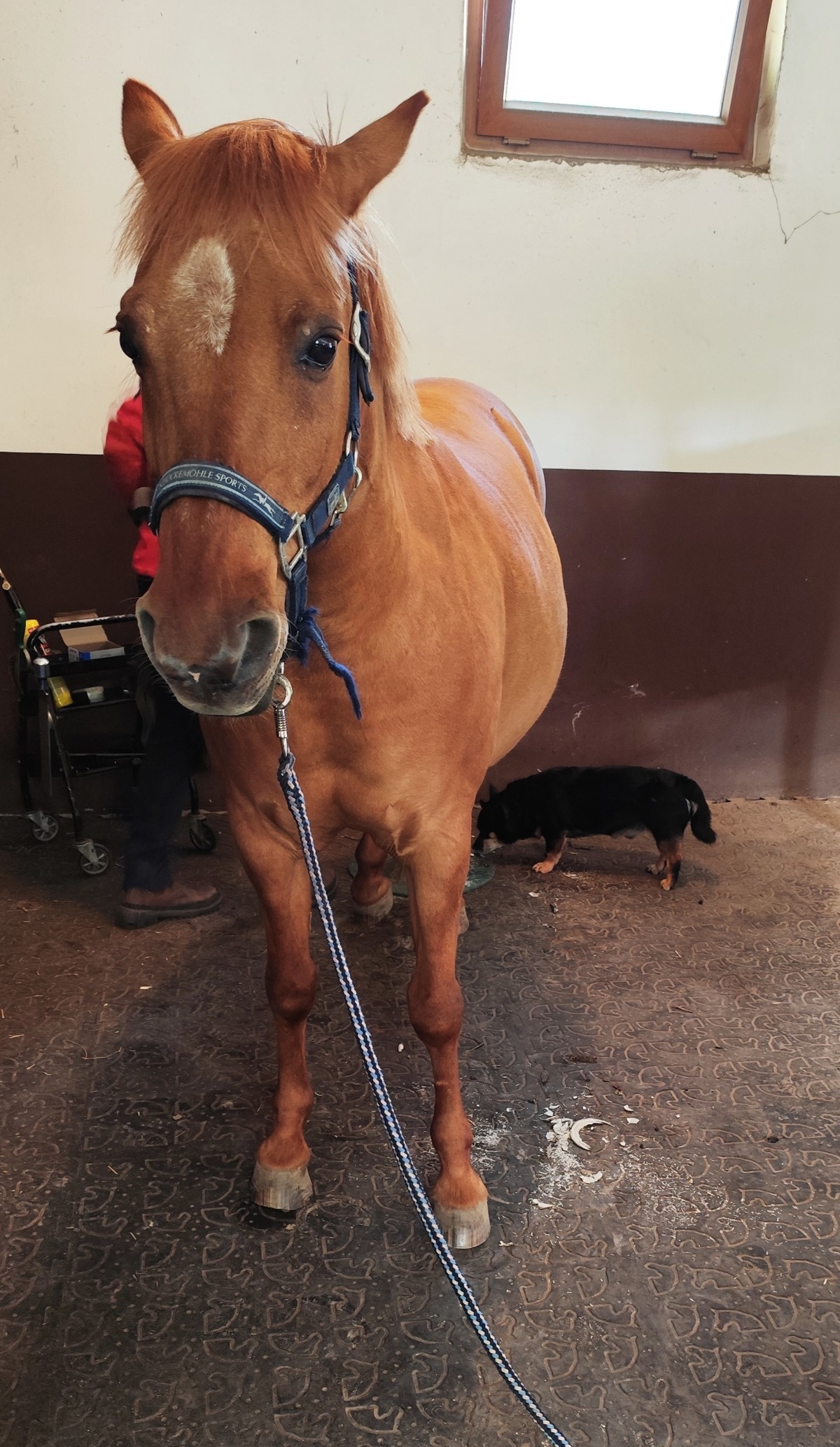 dd57e22b-a167-436d-886e-ba8c425812f9