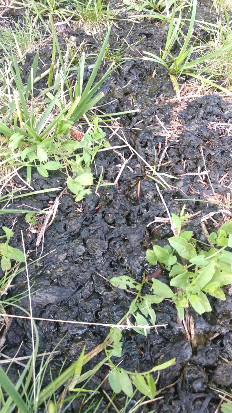 bfa67e83-908b-4e17-9a0c-d36f03fbac77