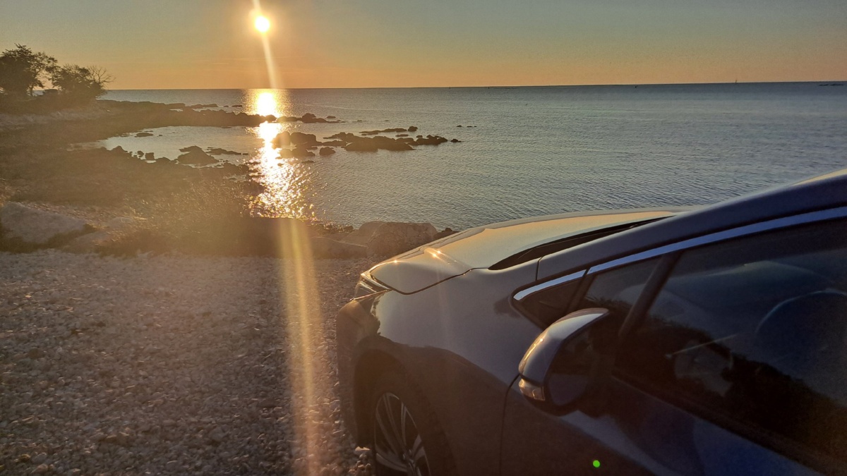 5a29c041-50b5-40b0-954a-cdf0b6189dc8