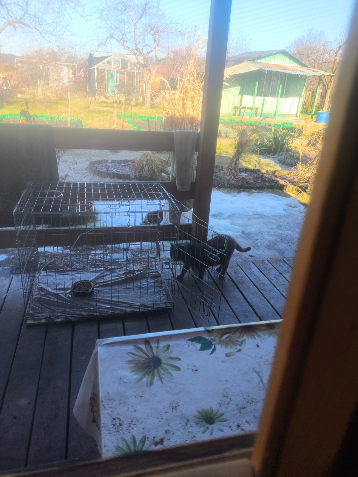 81cab777-d874-4730-a52e-0de1aef59c43