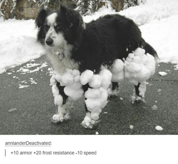 31326d0d-343f-4a27-a026-ef1f1c5c2304