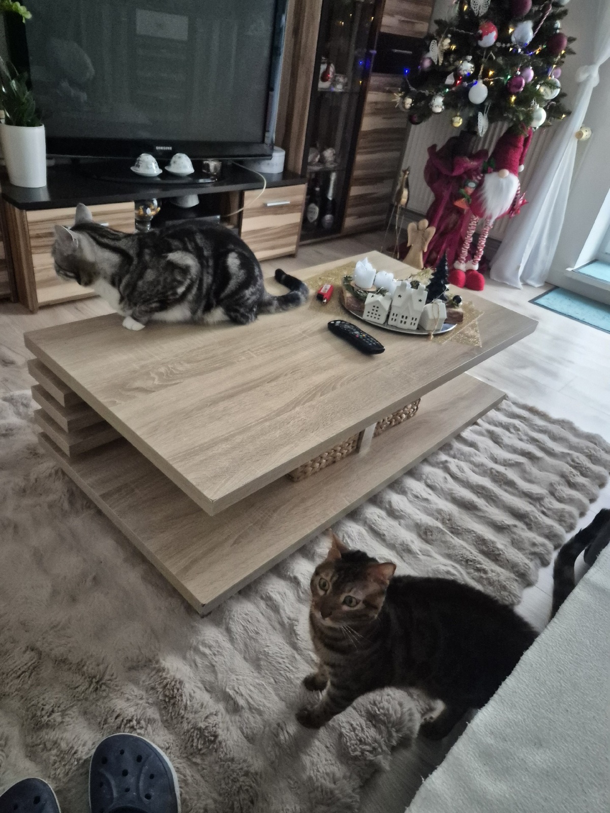 6fb3b7e6-0aec-4eb4-9516-b9227eab52e1