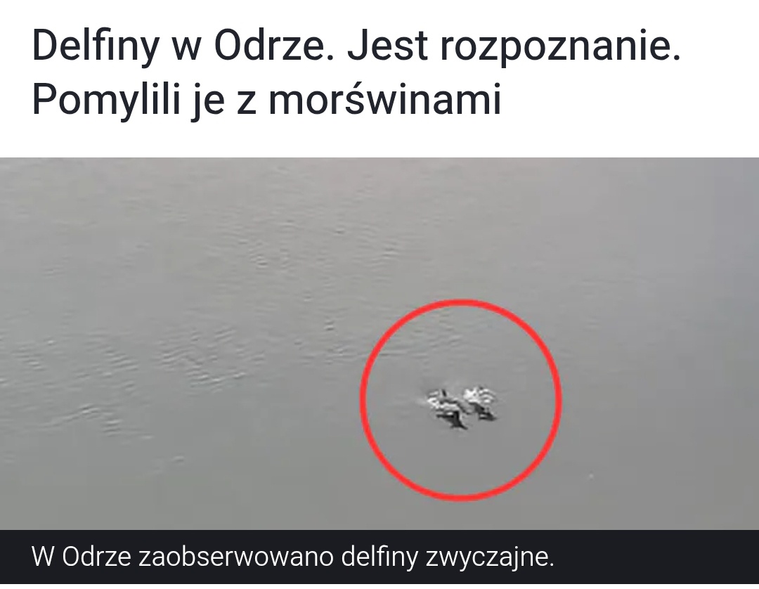 75bfe09b-f5ae-4cc6-8a6b-550070eedd28