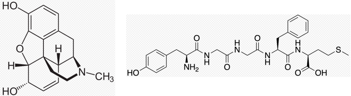 dee5d5bb-b060-4f57-88b2-537f11f3241b