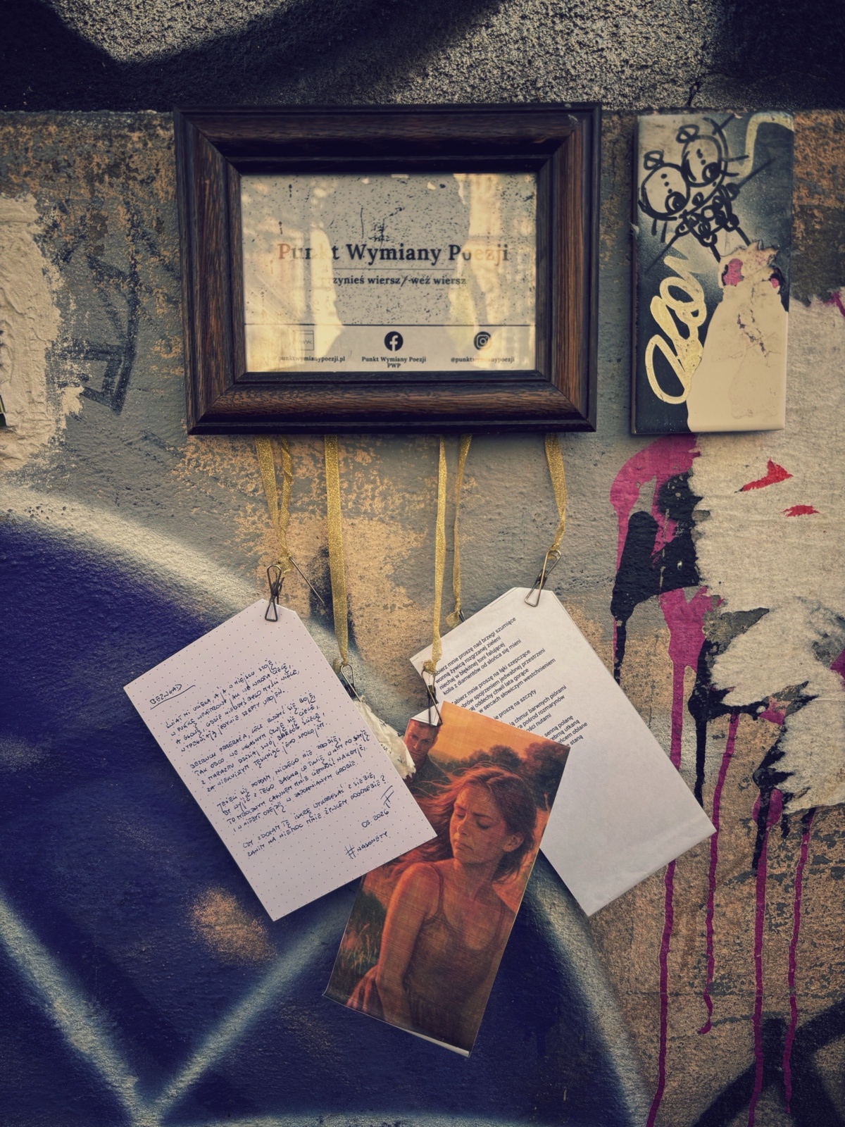 50d3648e-7a26-44c8-89a1-cdae44314949