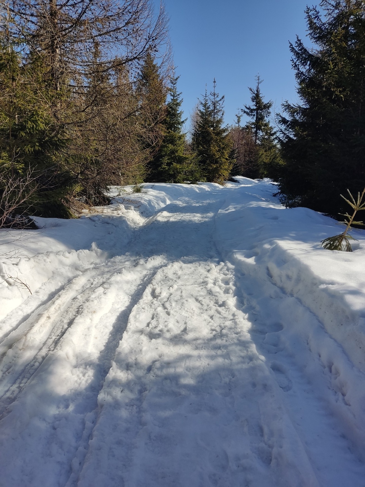 bc600b41-f681-4bfb-b247-78beab8d0bbb