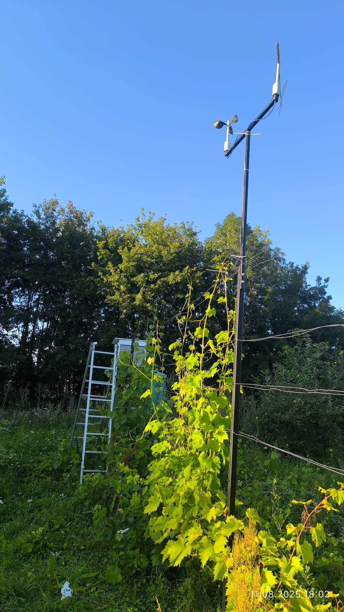 4606de5f-f5fe-4e81-952b-73fd1ab34a1c