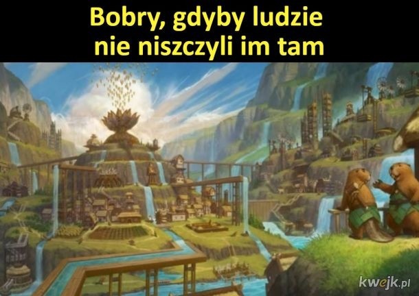 1700b085-4d84-40f9-af05-dad7a502c1c7