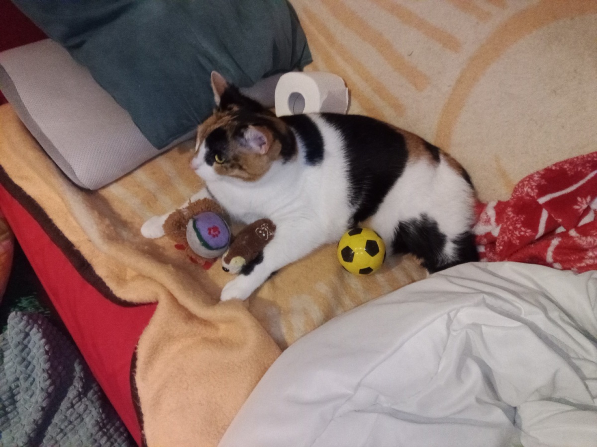 bbe97f8e-9852-458d-9b76-1f3d155b1b09