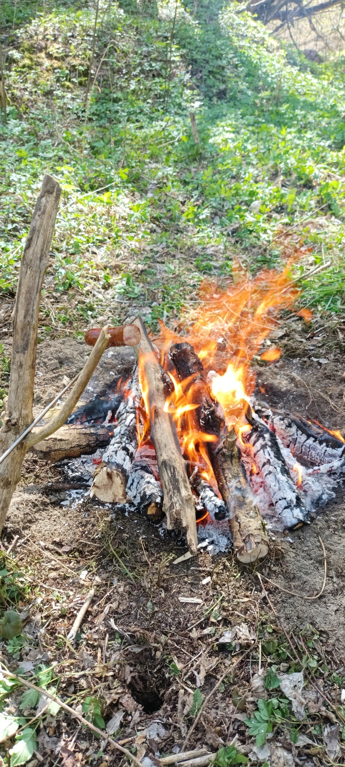 6ae0956b-3861-473a-938d-56a7e1b5e7c7