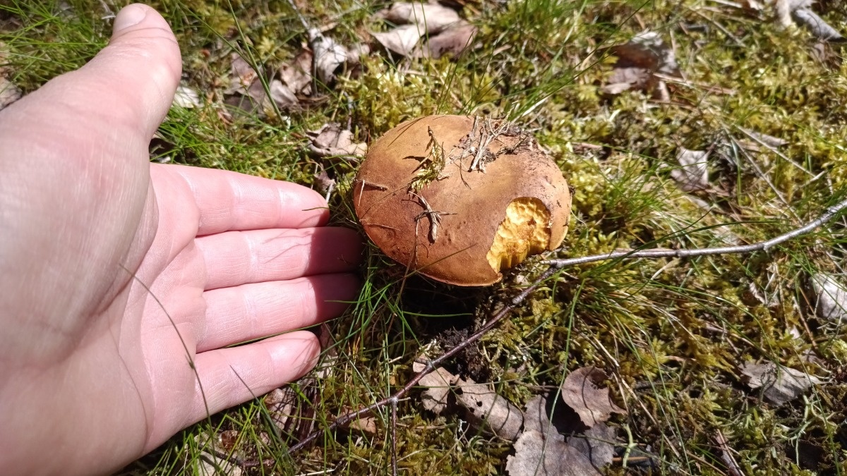 1e13cb37-8588-45a1-be23-441b7f2ab007