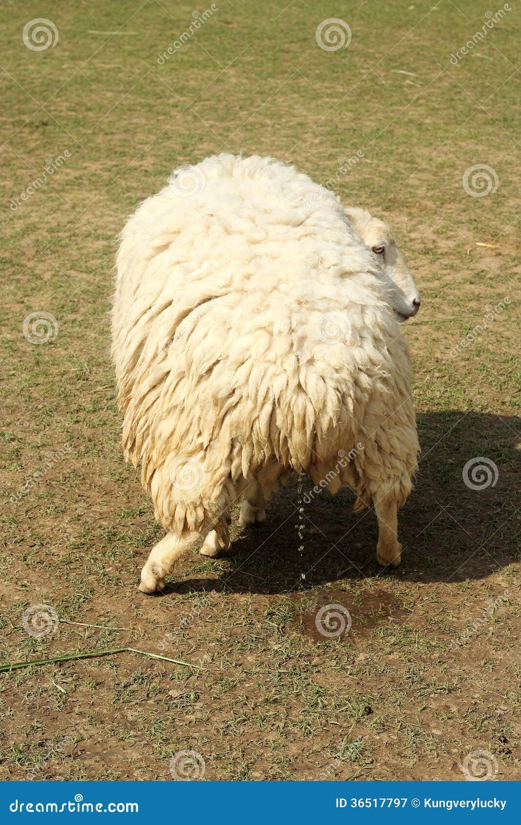 a073da47-d55f-405e-80fa-0c59681d6b79