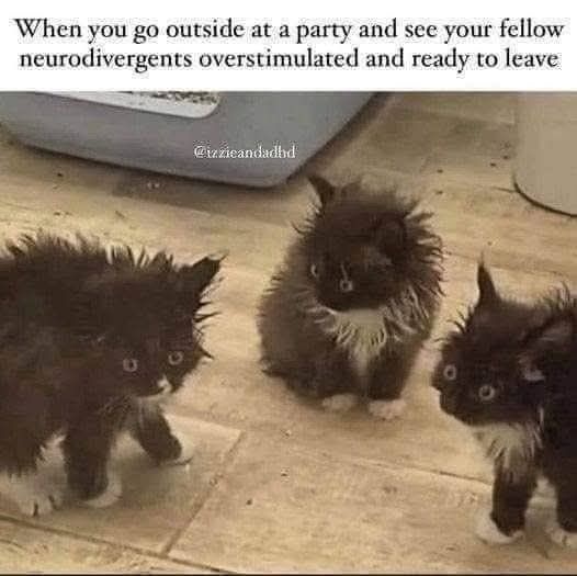 79630b0d-3f34-4379-81af-2051349b76c5