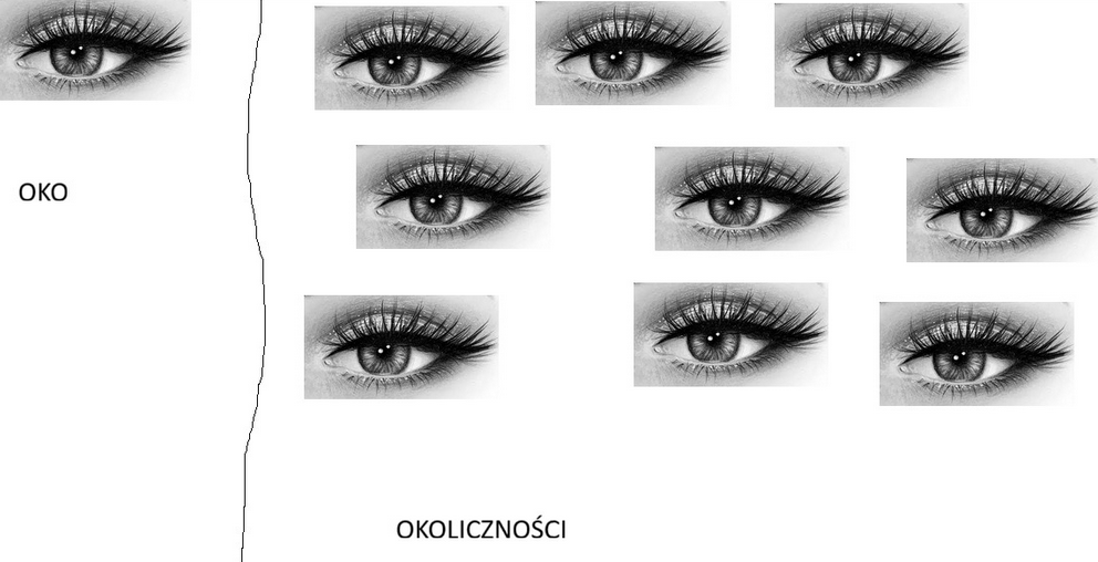 fb37539a-c036-4909-909f-70f702c4a541