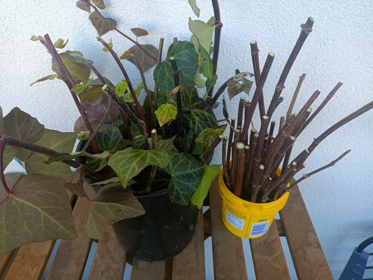 cc9b0832-f652-45bb-aee5-63d97dda787d