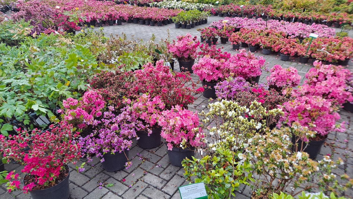 32e67de9-f037-4cb9-bb12-7c1854905d58