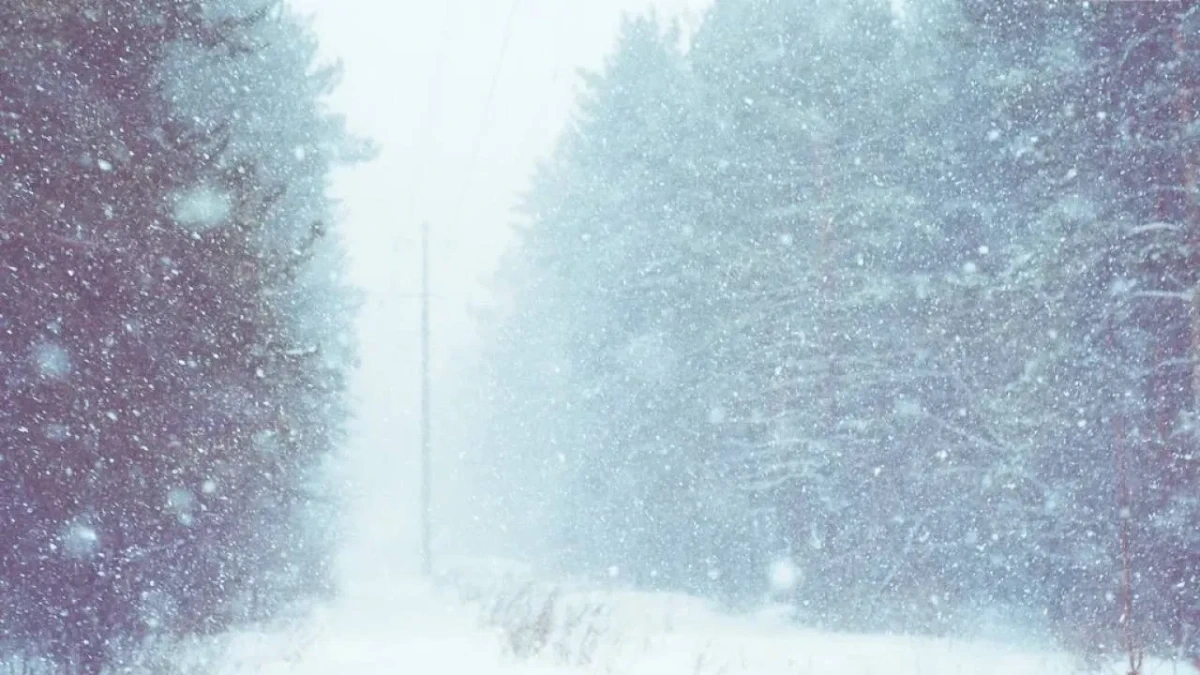 07b66452-80b9-4926-8ddf-573d236ec867