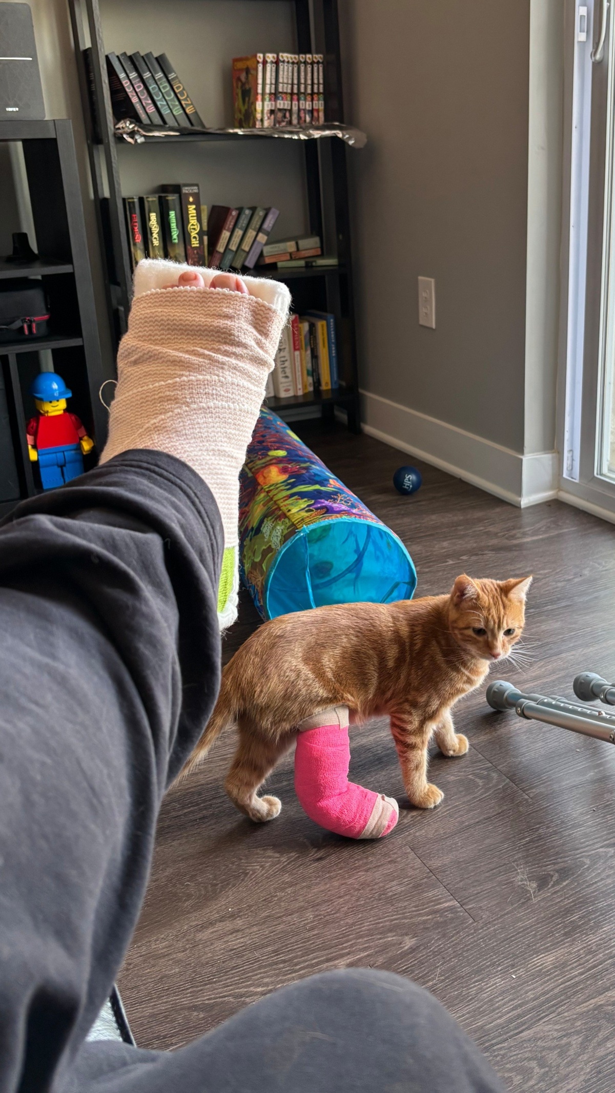 f0751ce6-e2a9-407b-a4d8-dacea5bd1168