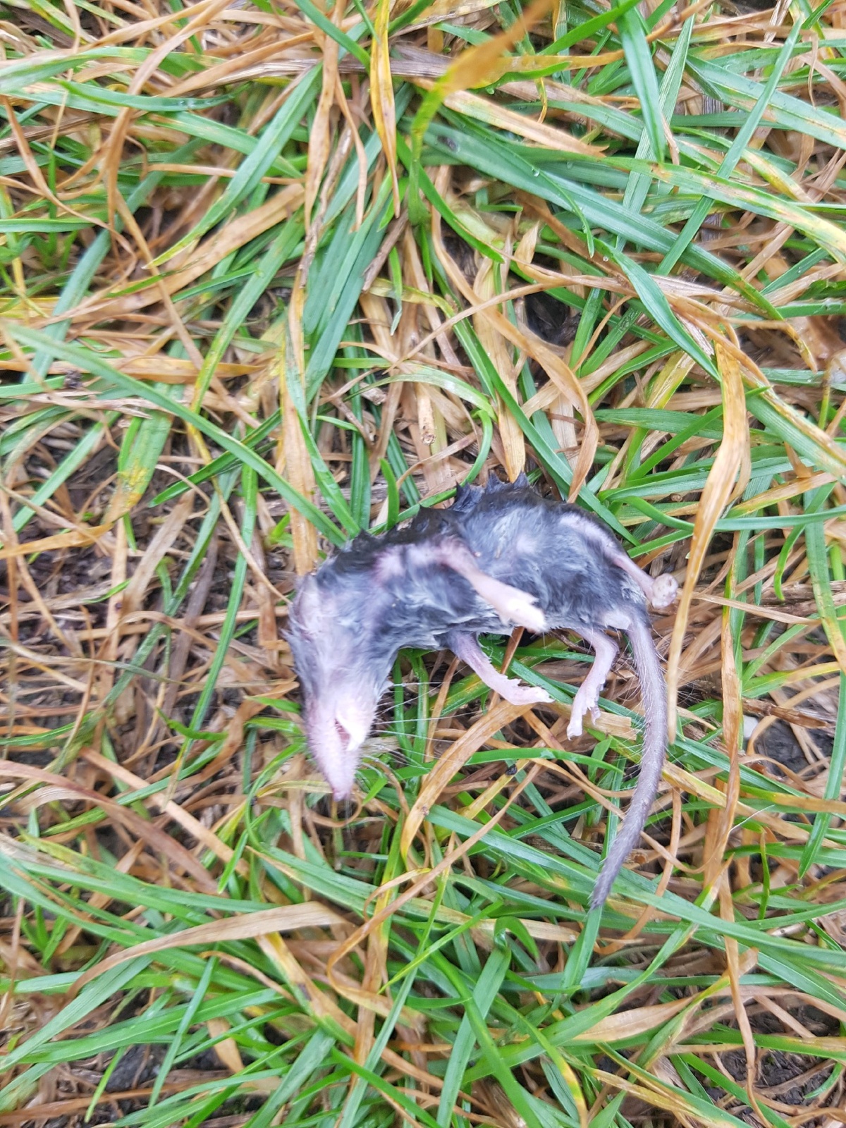 5d6d75d9-ec2d-4d05-b6b5-abef1af08aa7