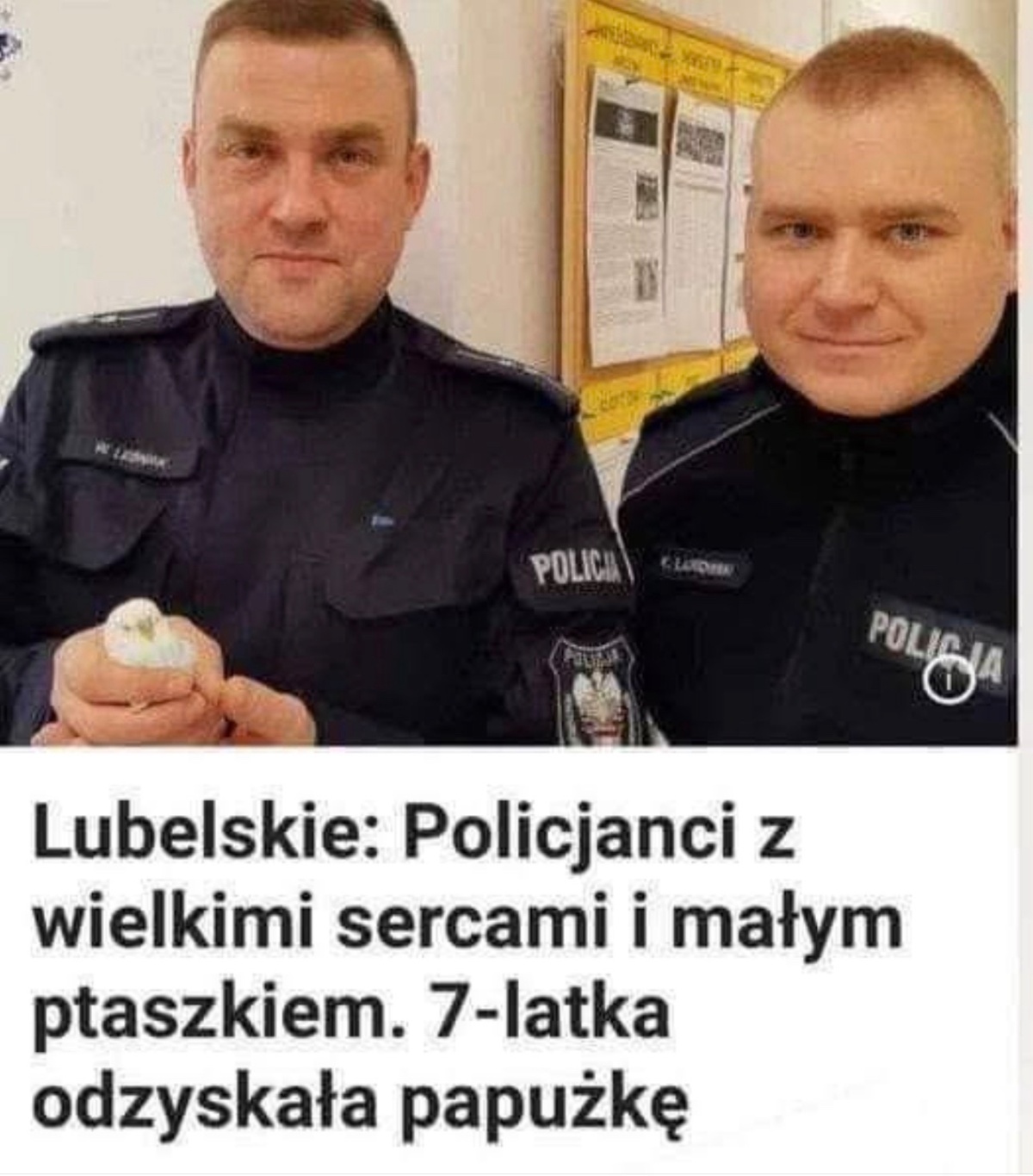 9b10d25f-2b52-45fd-b4aa-3bba65260081