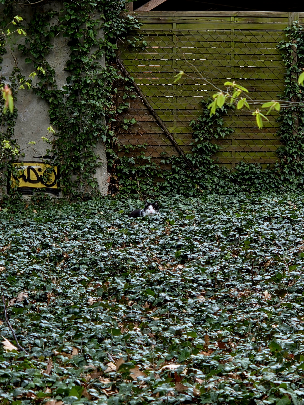 0fb5bed2-b62d-46e0-83b1-e85684a0030c