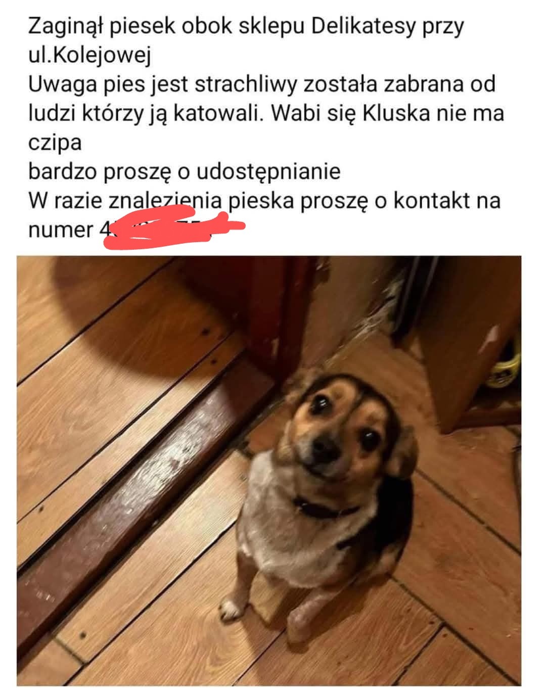 46e3055e-39df-4231-8c09-c7dd4d464651