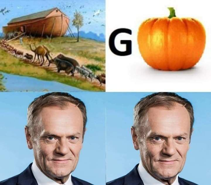 e337da38-02a3-4fca-8675-f9389420601f