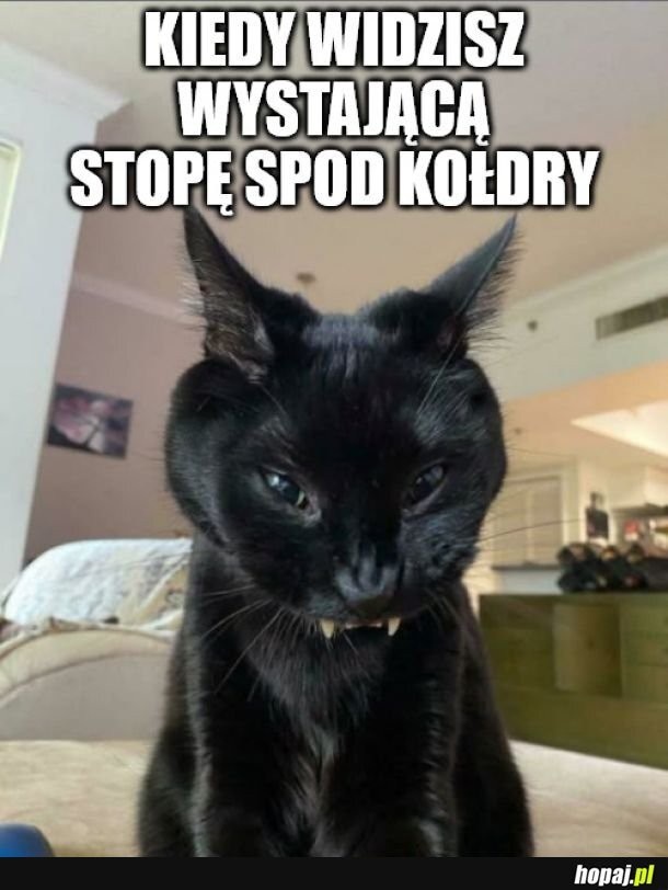 8efb2262-59e3-479d-898c-eab3e785c860