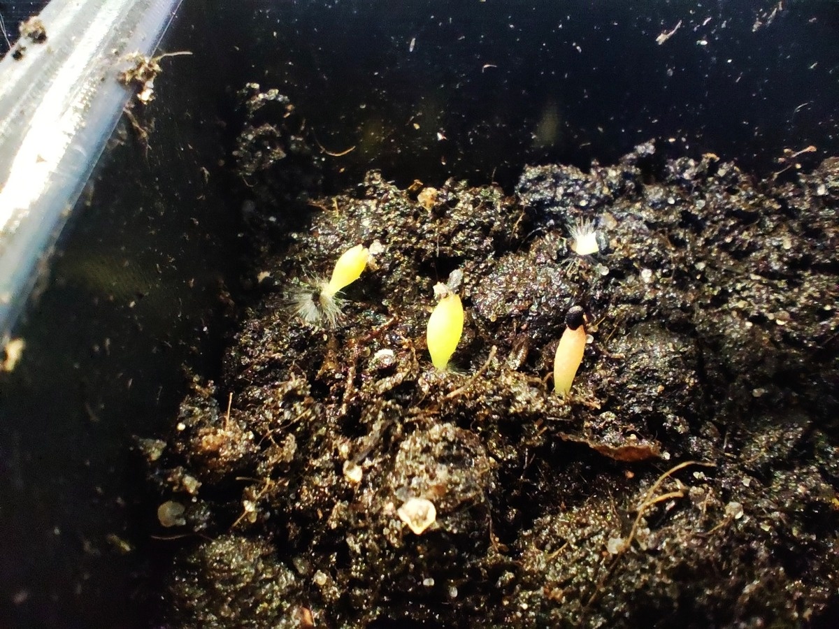 39975ca4-422b-419f-a670-6f4473bb1736