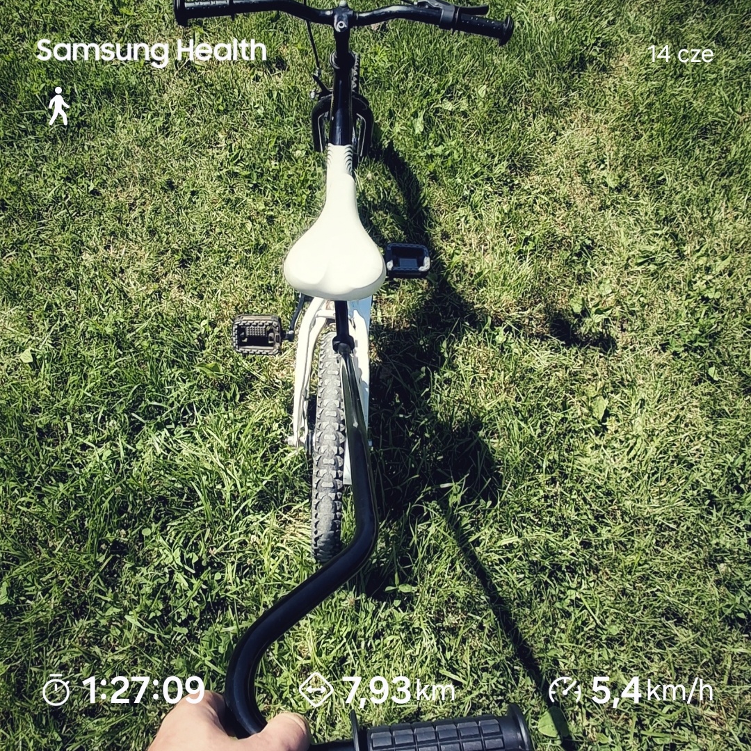 28ff8656-475c-4b8f-b129-bff49d035e4a