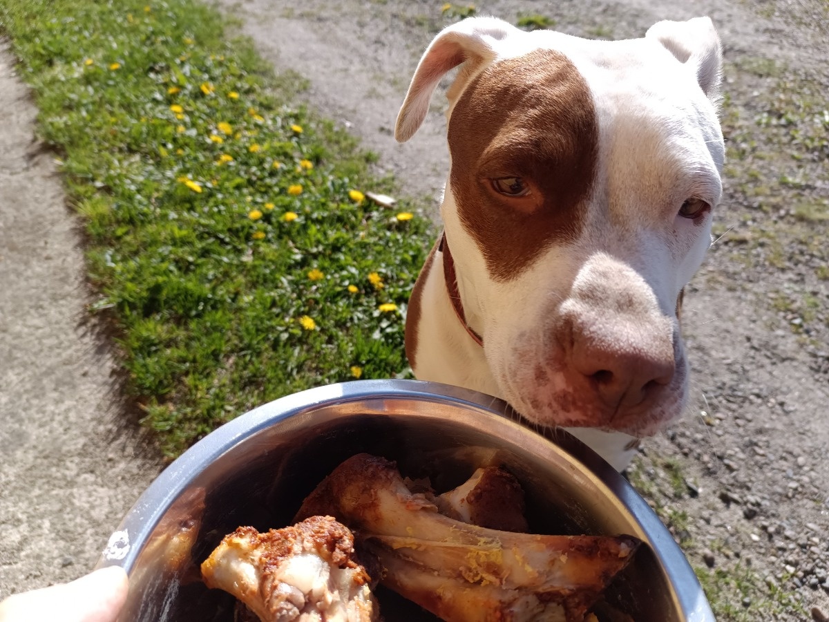 f99c47f5-8320-4275-9d52-e63e3c6e819e