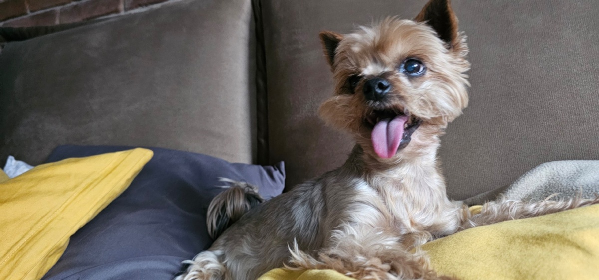 622fea70-b527-413f-96f3-6265cc67346d