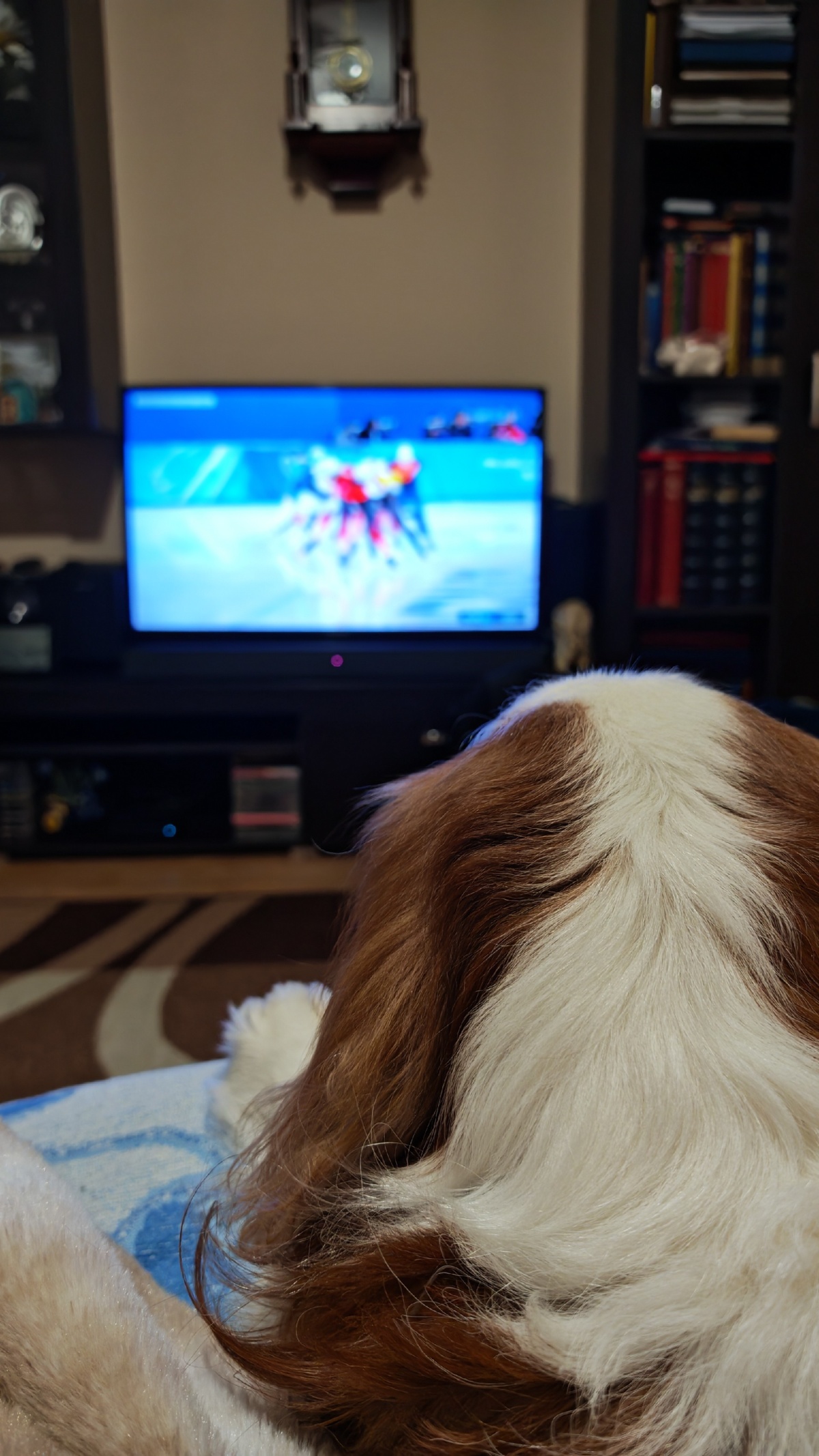 a7786915-03bb-4217-9d2b-988aa7ec3896