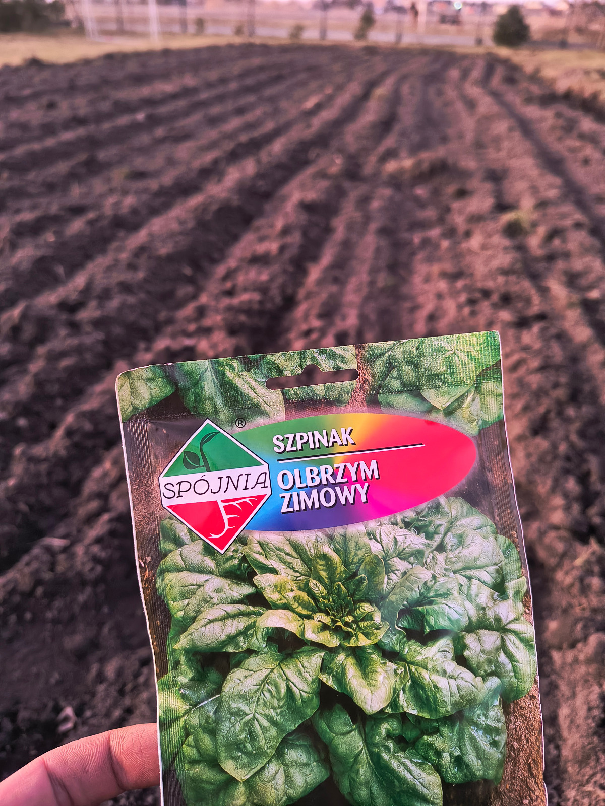 0d213e70-27c9-42fa-9f47-c5f44d71be48