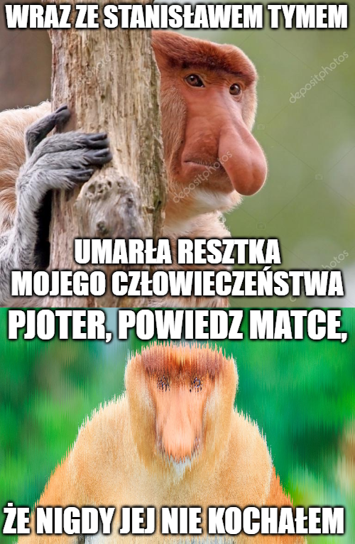 19d306d6-6690-46b1-9dac-63d9170b1b1d