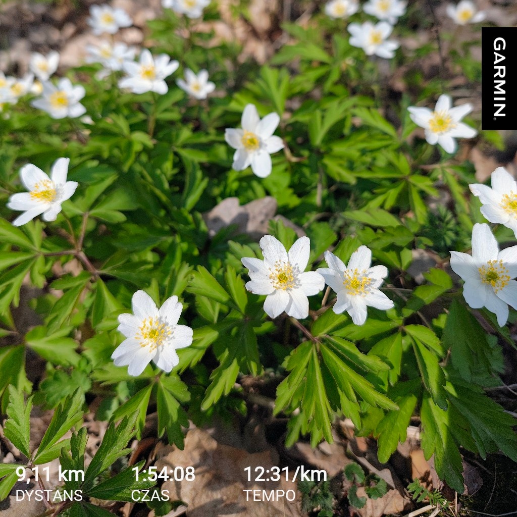 31c61b69-145e-482e-8414-43a97b9d8046