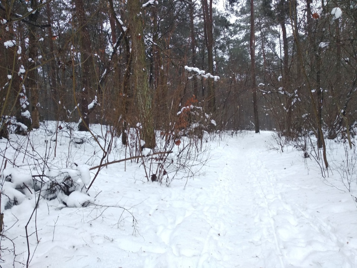 78bed514-1d66-4393-82b5-5ecdd52c07c9