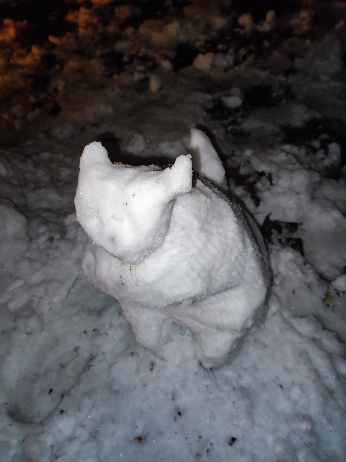 955bc908-8994-4172-8ea5-348a42d8c5ff