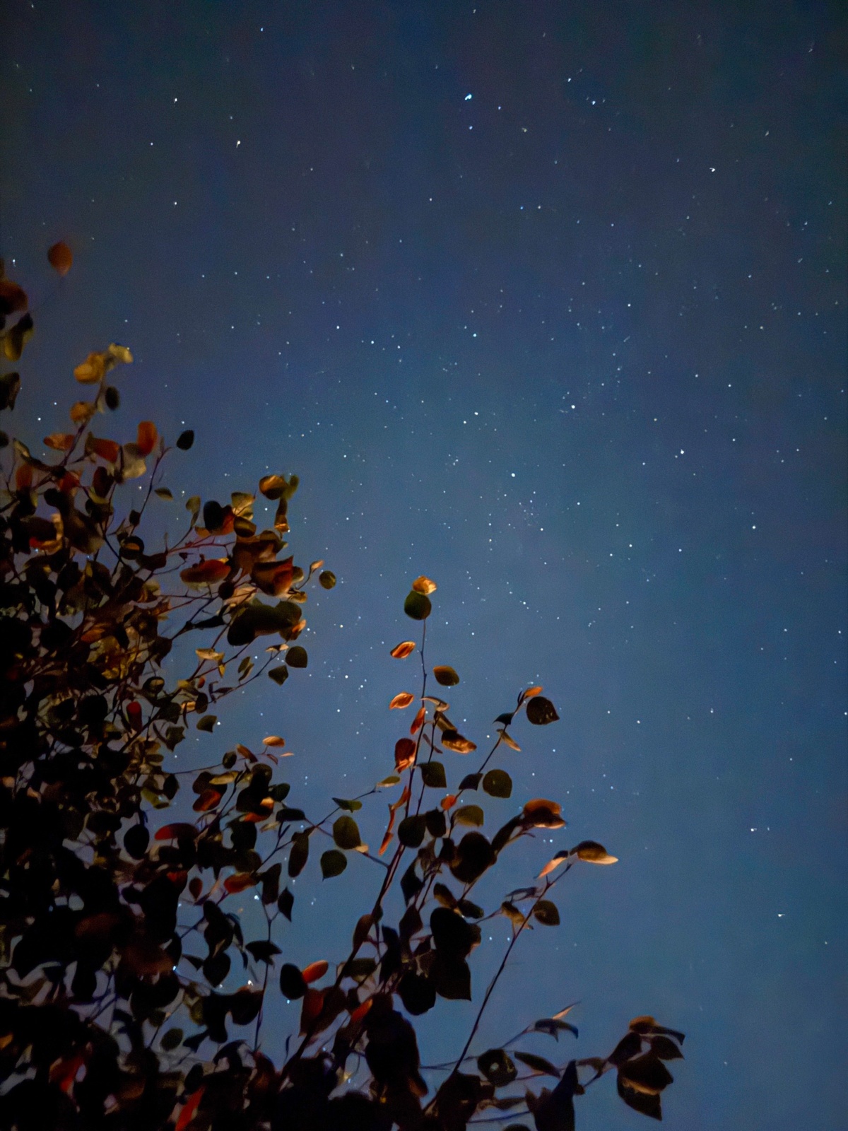 9c26856a-9258-46ed-8b0f-a6e0c512e480