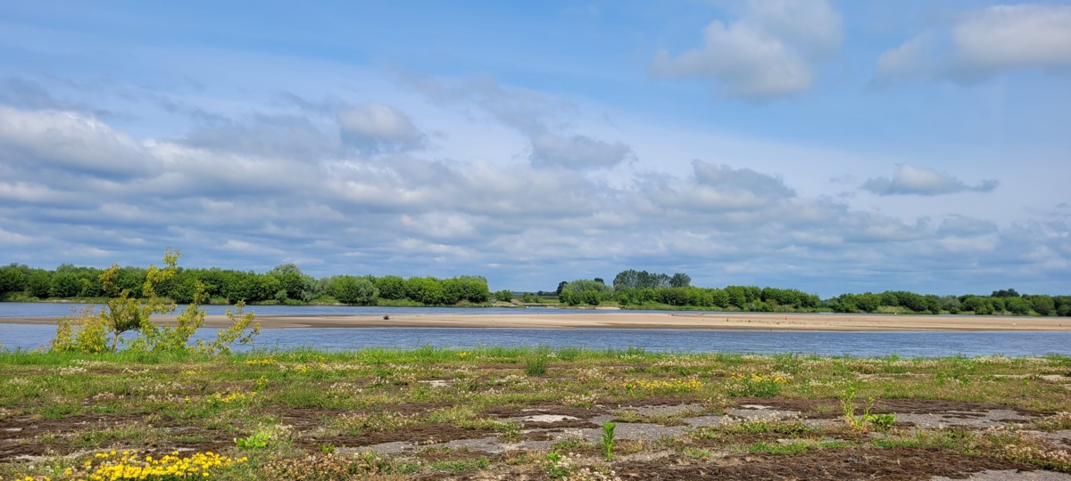 3bf56dfd-fddf-418e-ba4e-934518a236e8