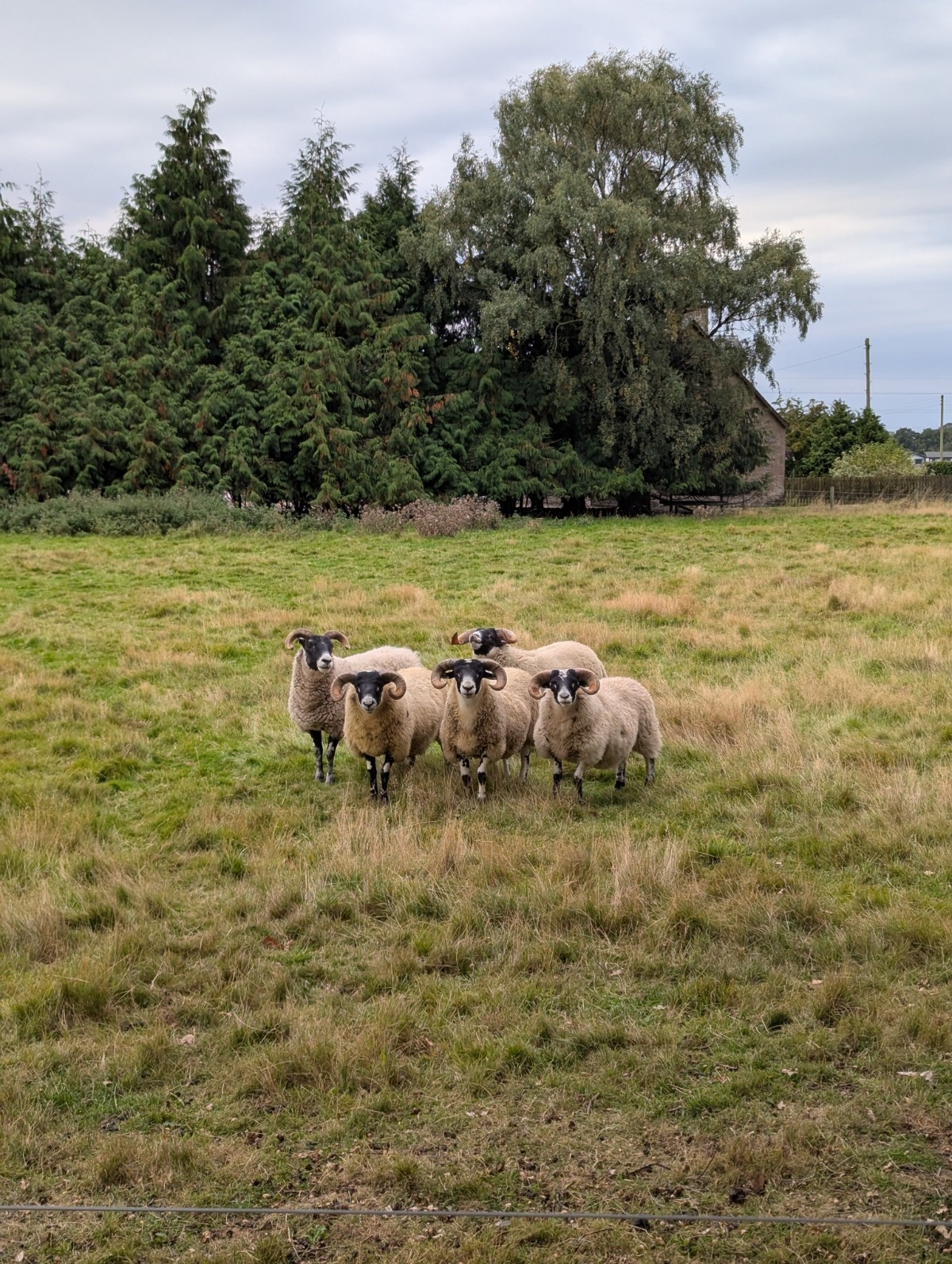 3d073b0a-7646-463f-8d51-994a11bf403e