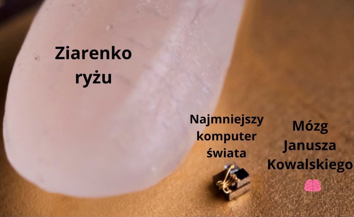 f9c4b9b7-27d2-422a-a4e9-be1356b3636d