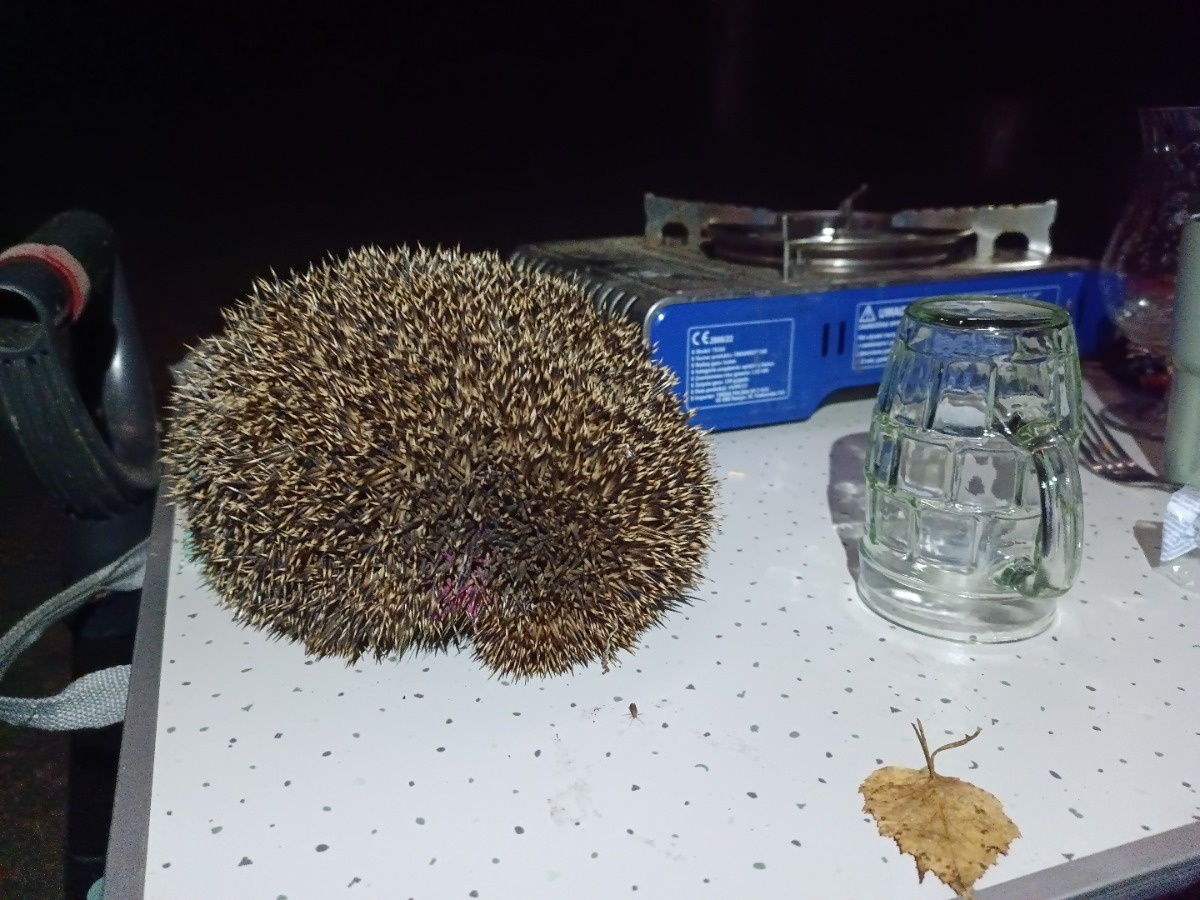 013cc50c-69a1-4e60-a4e9-5dd0b22fd230