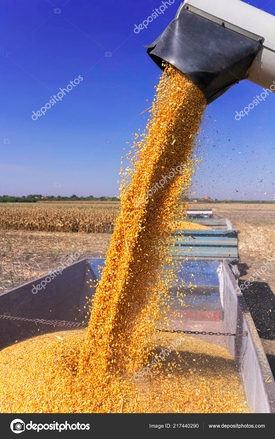 408c7a23-f94d-4722-8e5c-4b74b814958a