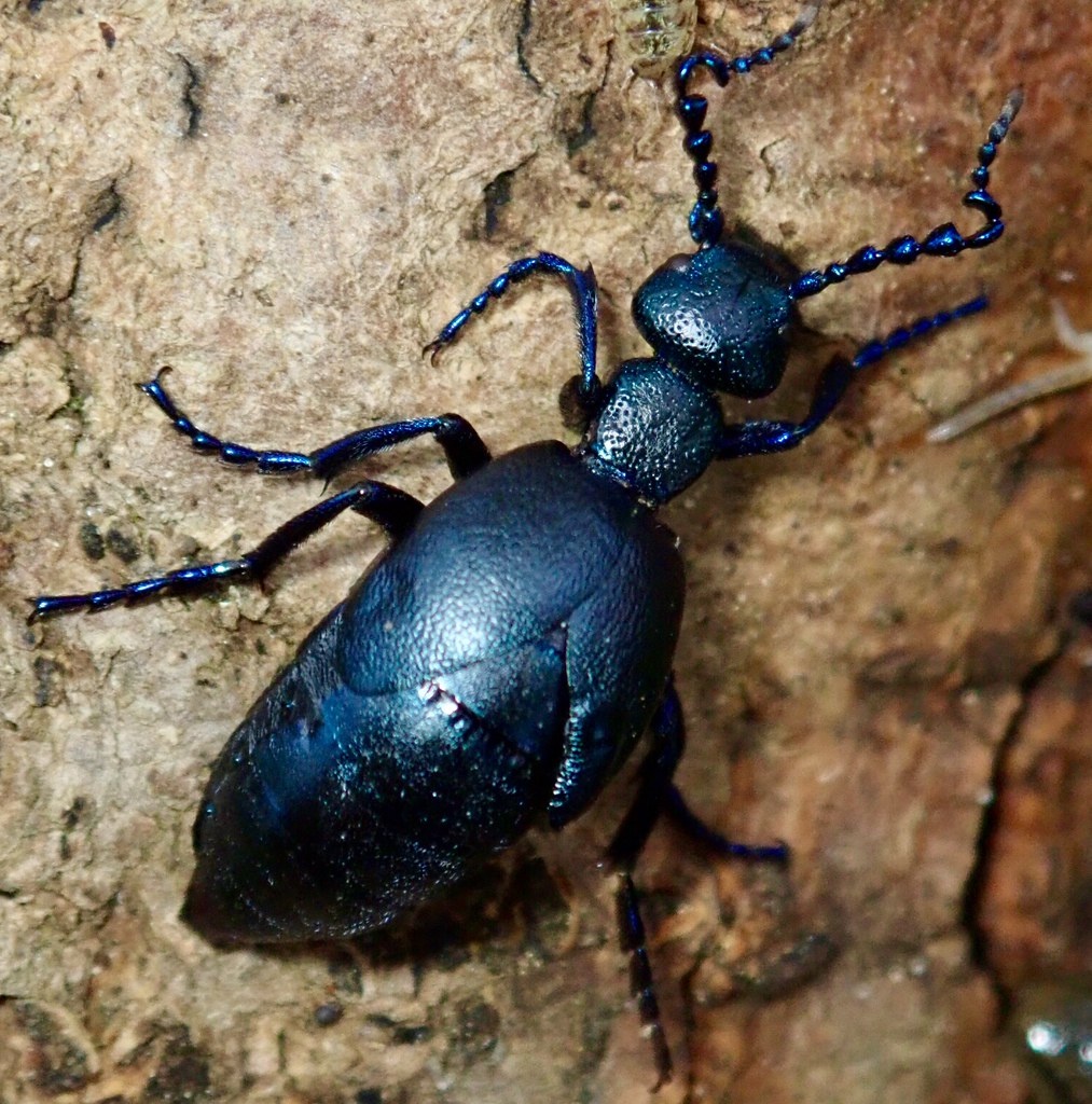 df9beec3-cbd2-4095-bd80-04391b239cc7