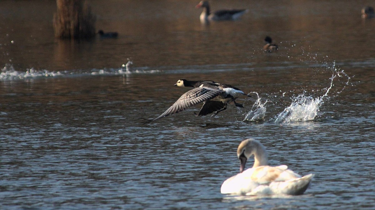 130d3cc1-9e89-4047-a56c-6271b73f2032