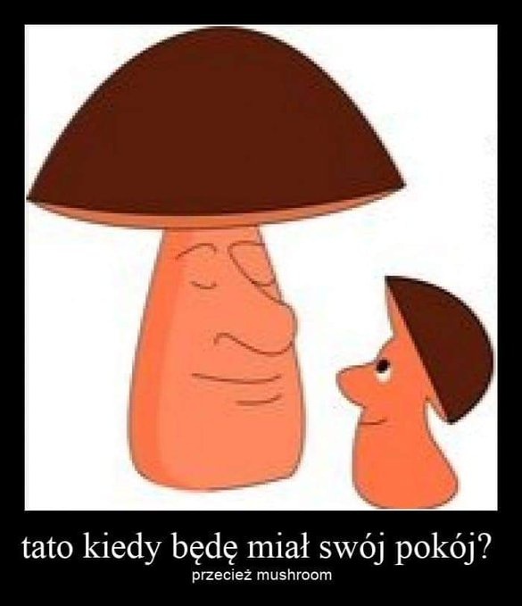 6418aa38-be40-4334-9f89-d557926041c9